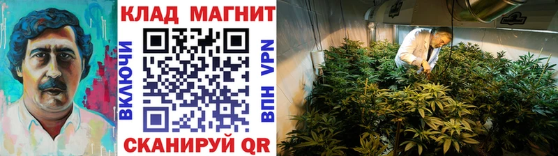 Наркошоп Лосино-Петровский Альфа ПВП  Кодеин  COCAIN  Мефедрон  Гашиш  Бошки Шишки 
