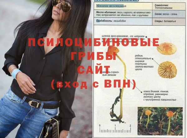кокс Пересвет