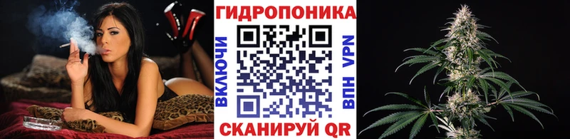 как найти закладки  Лосино-Петровский  Бошки марихуана сатива 